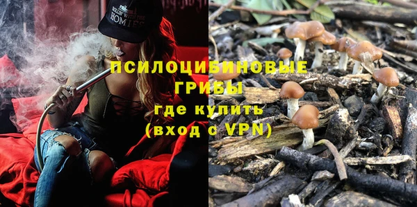 МДПВ Арсеньев
