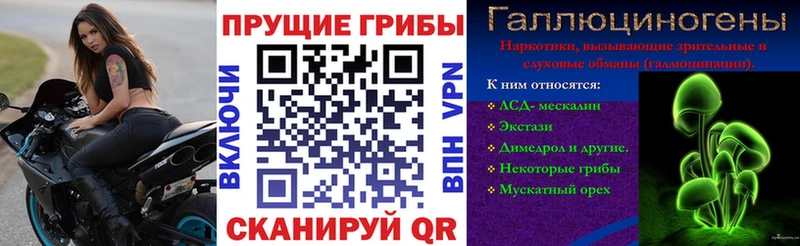 Псилоцибиновые грибы Magic Shrooms  Купить где  Ухта 